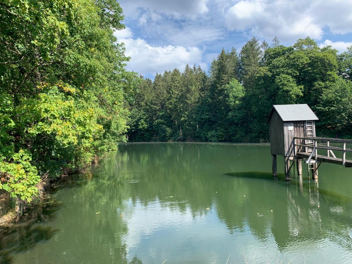 Apartament Haus Am Kurpark Clausthal-Zellerfeld Zewnętrze zdjęcie